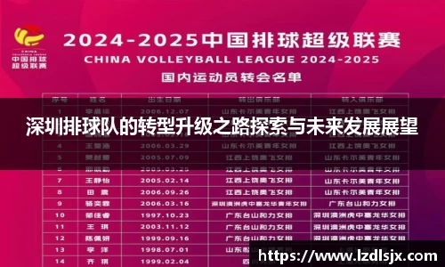 深圳排球队的转型升级之路探索与未来发展展望
