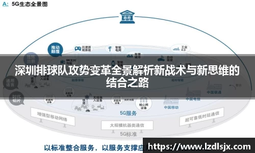 深圳排球队攻势变革全景解析新战术与新思维的结合之路