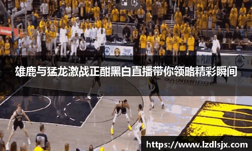雄鹿与猛龙激战正酣黑白直播带你领略精彩瞬间